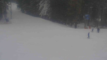 Ski Karlov - areál Karlov