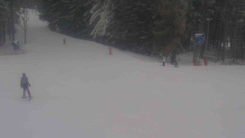 Ski Karlov - areál Karlov