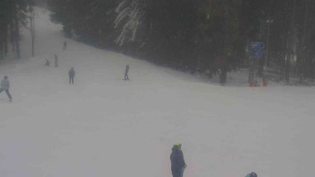 Ski Karlov - areál Karlov