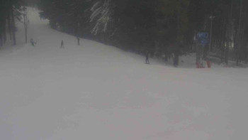 Ski Karlov - areál Karlov