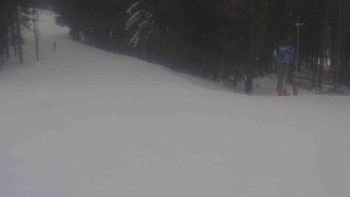 Ski Karlov - areál Karlov