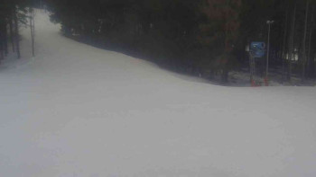 Ski Karlov - areál Karlov