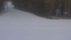 Ski Karlov - areál Karlov - Sportovní - 25.2.2026 v 07:32