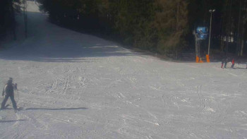 Ski Karlov - areál Karlov