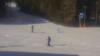 Ski Karlov - areál Karlov