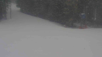 Ski Karlov - areál Karlov