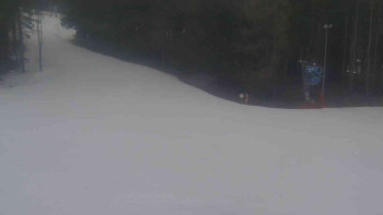 Ski Karlov - areál Karlov