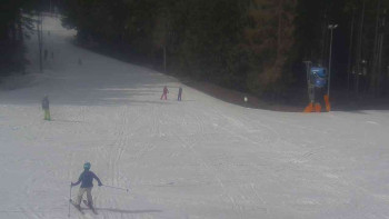 Ski Karlov - areál Karlov