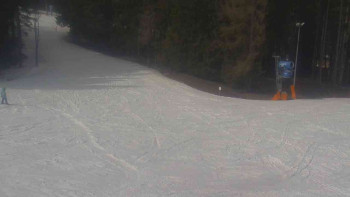 Ski Karlov - areál Karlov