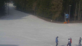 Ski Karlov - areál Karlov