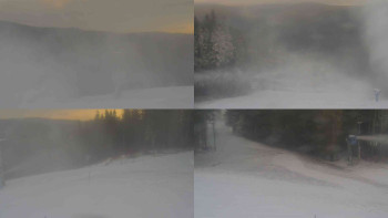 Snímek 19.11.2025 v 07:31