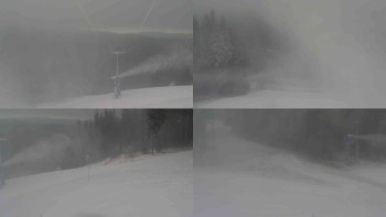 Snímek 19.11.2025 v 10:01