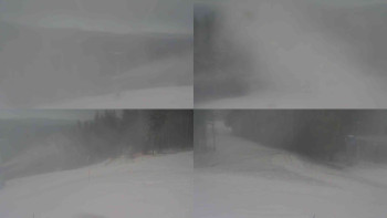 Snímek 19.11.2025 v 12:01