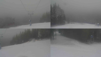 Snímek 20.11.2025 v 08:01