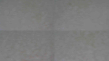 Snímek    21.11.2025 v 07:31