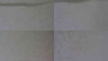 Snímek    24.11.2025 v 09:31