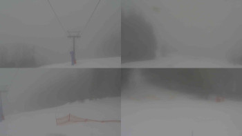 Ski Karlov - areál Karlov