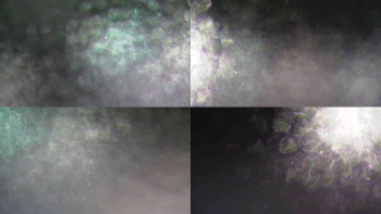 Ski Karlov - areál Karlov