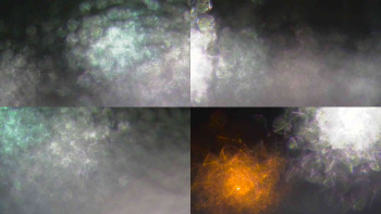 Ski Karlov - areál Karlov