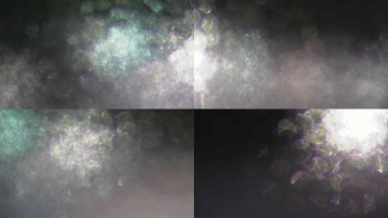 Ski Karlov - areál Karlov