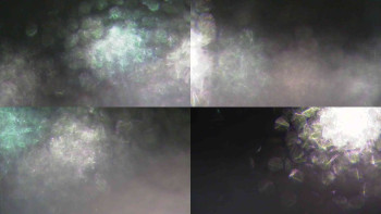 Ski Karlov - areál Karlov