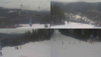 Ski Karlov - areál Karlov