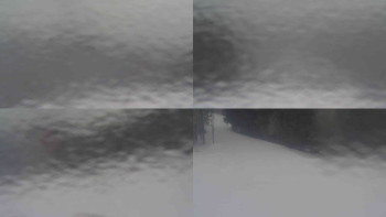 Ski Karlov - areál Karlov