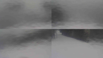 Ski Karlov - areál Karlov