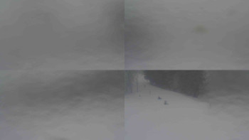 Ski Karlov - areál Karlov