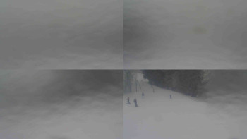 Ski Karlov - areál Karlov