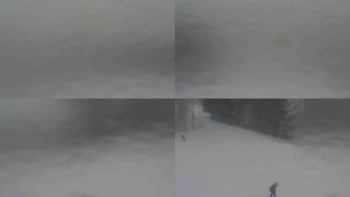 Ski Karlov - areál Karlov