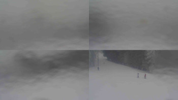 Ski Karlov - areál Karlov