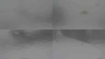 Ski Karlov - areál Karlov