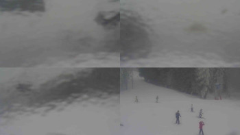 Ski Karlov - areál Karlov