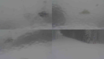 Ski Karlov - areál Karlov