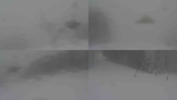 Ski Karlov - areál Karlov