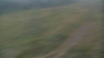 Snímek    13.9.2025 v 19:00
