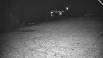 Snímek    1.11.2025 v 04:20