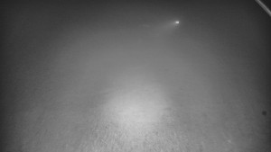 Skiareál Karolinka - Otočná kamera na sjezdovce - 13.12.2025 v 22:55 Skiareál Karolinka - Otočná kamera na sjezdovce - 13.12.2025 v 22:55