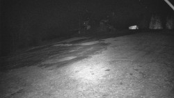 Otočná kamera na sjezdovce