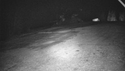 Otočná kamera na sjezdovce