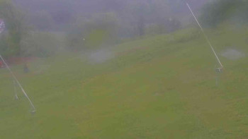 Snímek    15.5.2025 v 08:30