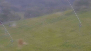 Ski Malenovice - Sjezdovka Školák - 16.6.2025 v 07:00