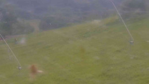 Ski Malenovice - Sjezdovka Školák - 16.6.2025 v 07:30