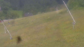 Snímek    12.7.2025 v 16:00