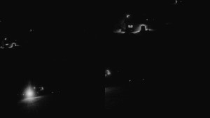 Ski Malenovice - Sdružený snímek - 2.1.2026 v 17:20