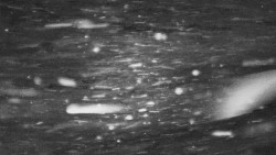 Troják - Maruška - Rozhledna