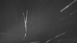 Skiareál Troják - Troják - Maruška - Rozhledna - 19.2.2026 v 23:50 Skiareál Troják - Troják - Maruška - Rozhledna - 19.2.2026 v 23:50