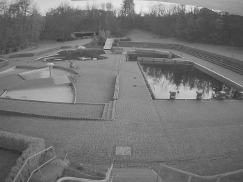 Letni koupaliště Chrudim