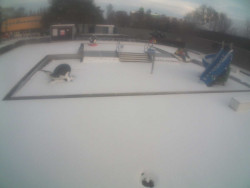 Dětstký venkovní bazén